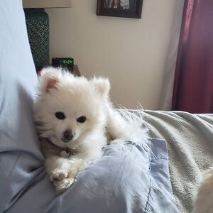 Meet your Posher, Jill